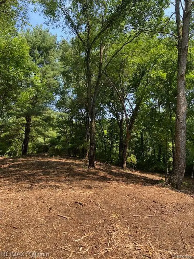 8 Sleaford-parcel 8 - 2.12 Acres Road Howell Township MI 48843