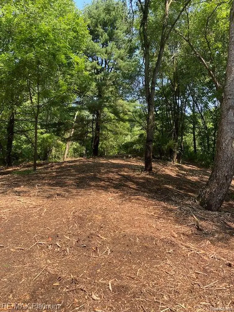 7 Sleaford-parcel 7 - 2 Acres Road Howell Township MI 48843