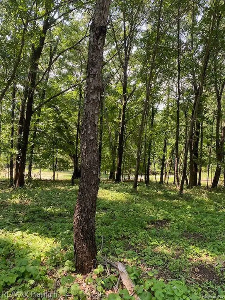7 Sleaford-parcel 7 - 2 Acres Road Howell Township MI 48843