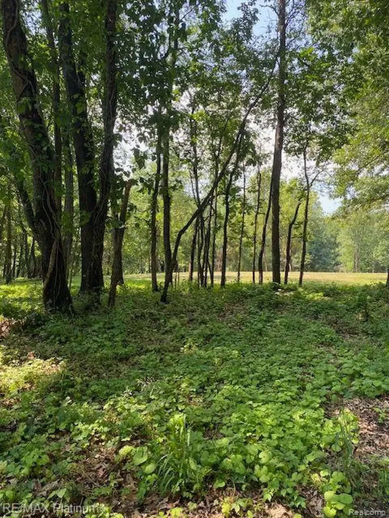 7 Sleaford-parcel 7 - 2 Acres Road Howell Township MI 48843