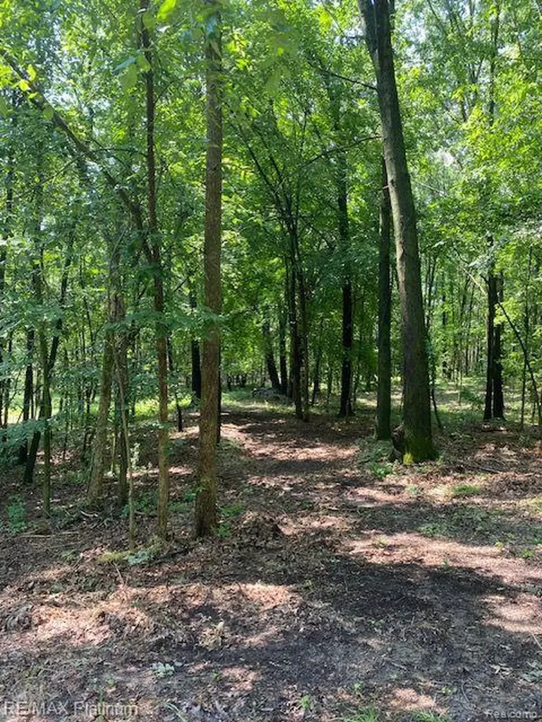 7 Sleaford-parcel 7 - 2 Acres Road Howell Township MI 48843