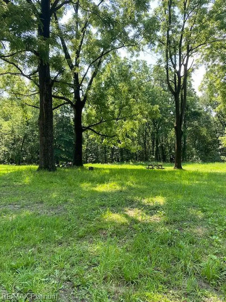 7 Sleaford-parcel 7 - 2 Acres Road Howell Township MI 48843