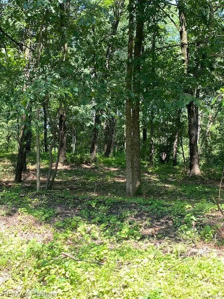 7 Sleaford-parcel 7 - 2 Acres Road Howell Township MI 48843