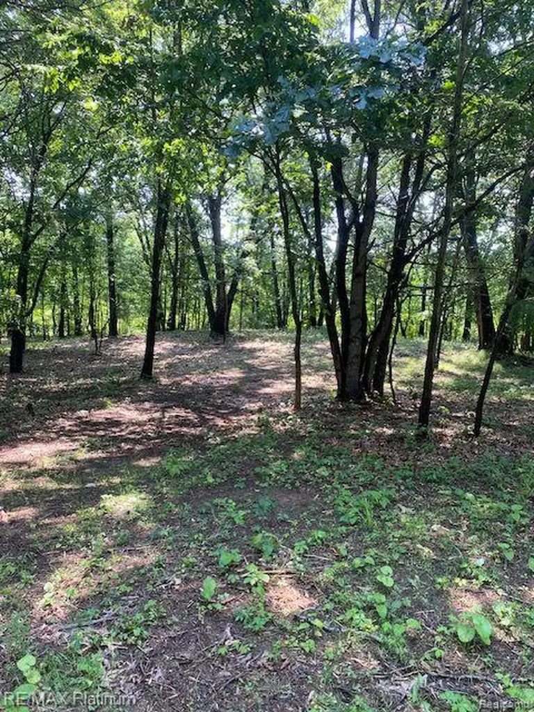 6 Sleaford-parcel 6 - 2.1 Acres Road Howell Township MI 48843