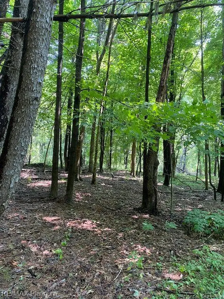 6 Sleaford-parcel 6 - 2.1 Acres Road Howell Township MI 48843
