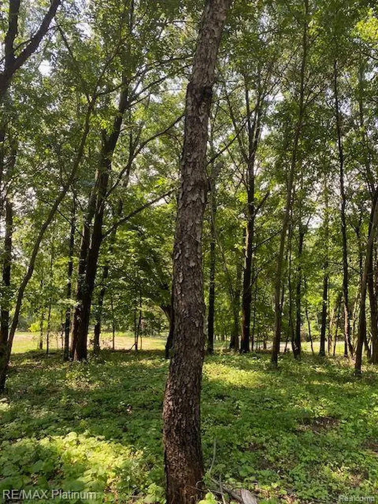 6 Sleaford-parcel 6 - 2.1 Acres Road Howell Township MI 48843