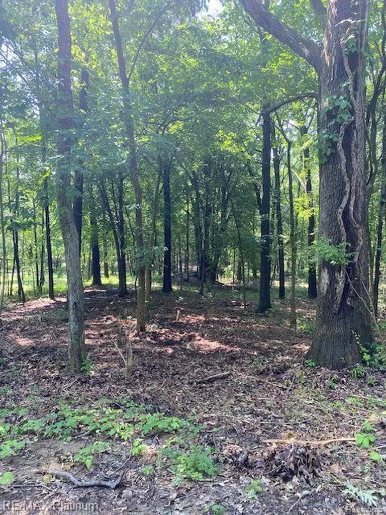 6 Sleaford-parcel 6 - 2.1 Acres Road Howell Township MI 48843