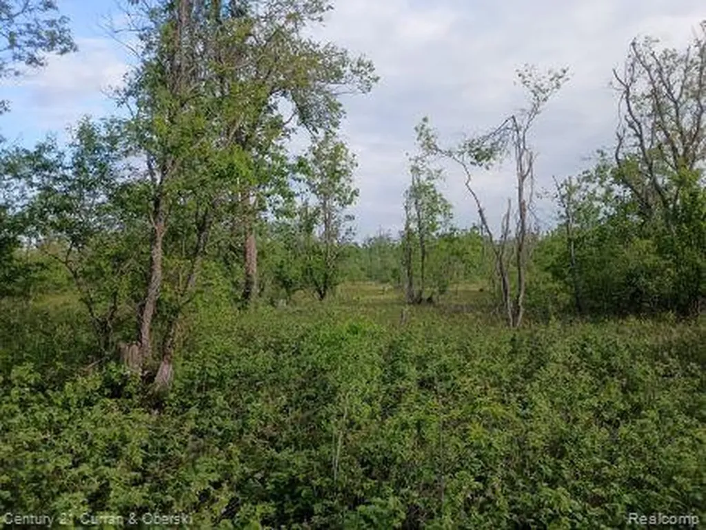 0000 Finnegan Road, Chester Township MI 49751