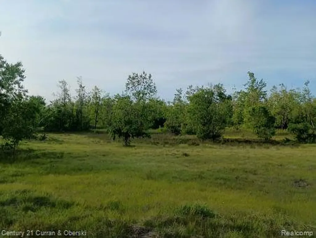 0000 Finnegan Road, Chester Township MI 49751