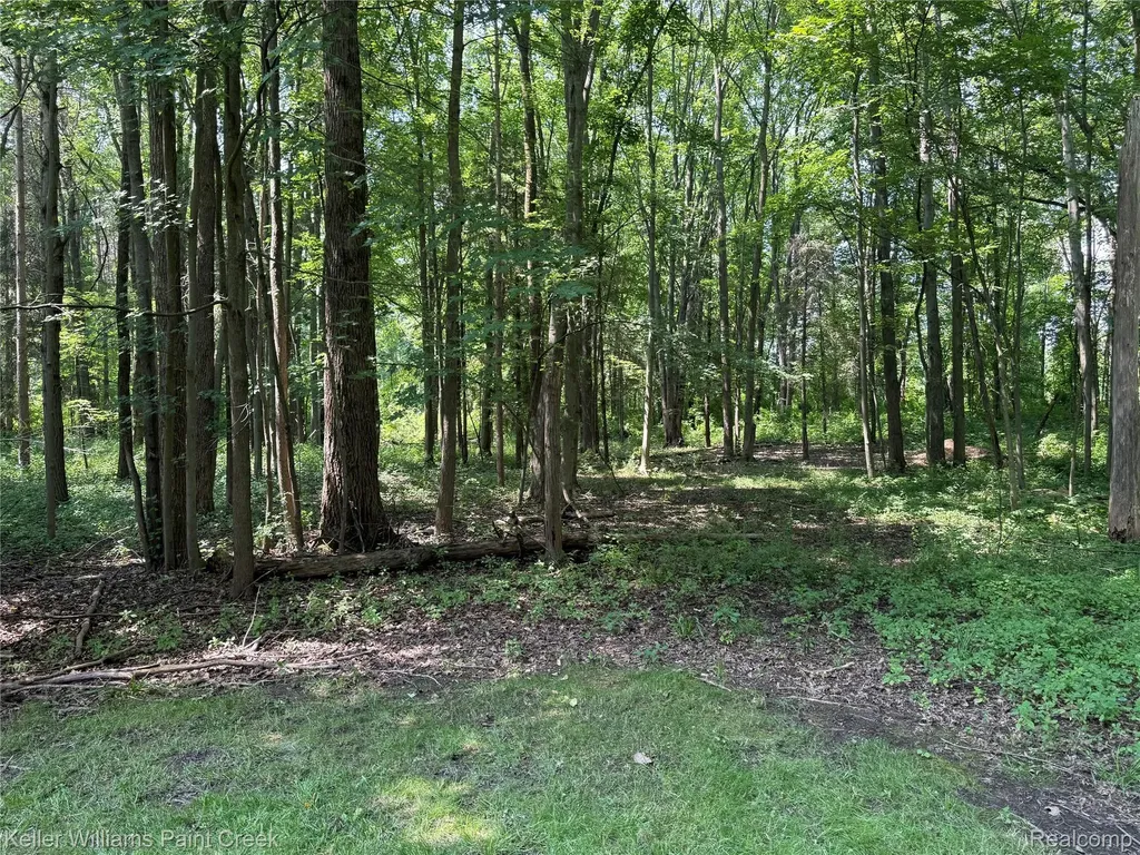 6365 Hayfield Lane Almont Township MI 48003