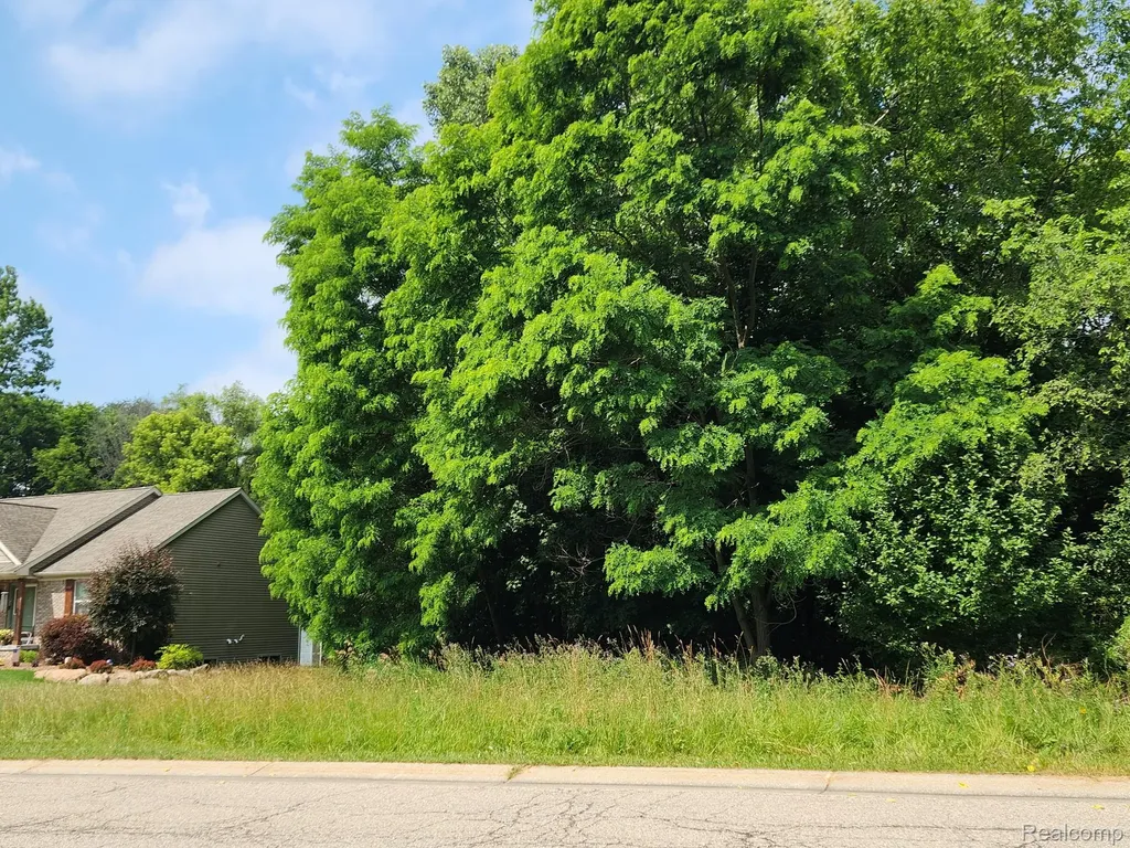 7480 Fairview Drive Goodrich Village MI 48438