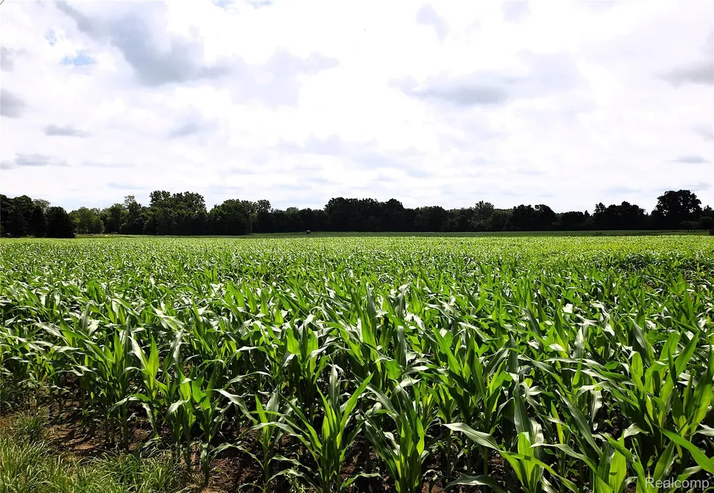 V/l N Irish Road Forest Township MI 48463