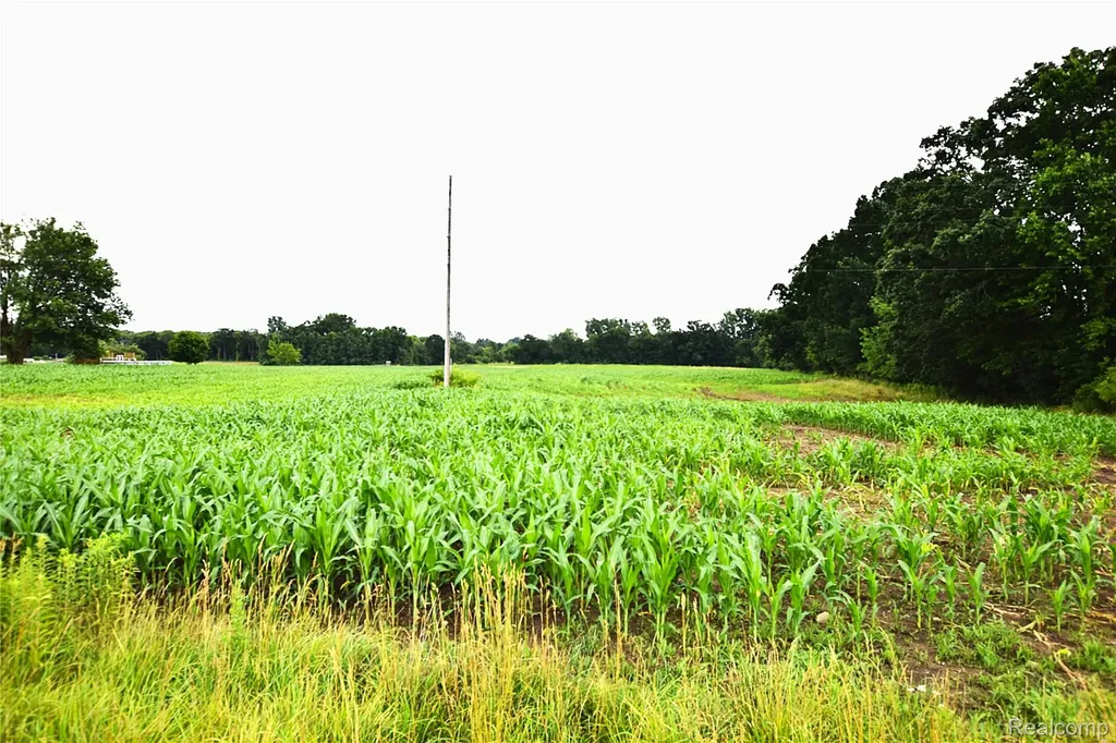 V/l N Irish Road Forest Township MI 48463