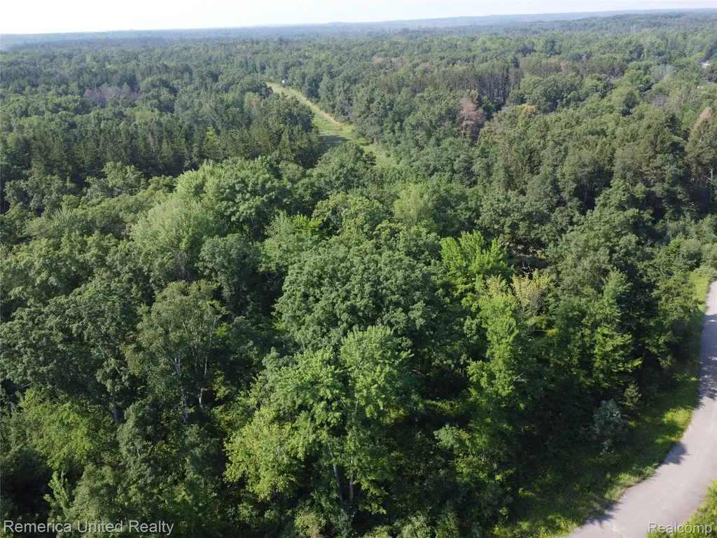 Vl Pondside Drive Surrey Township MI 48622
