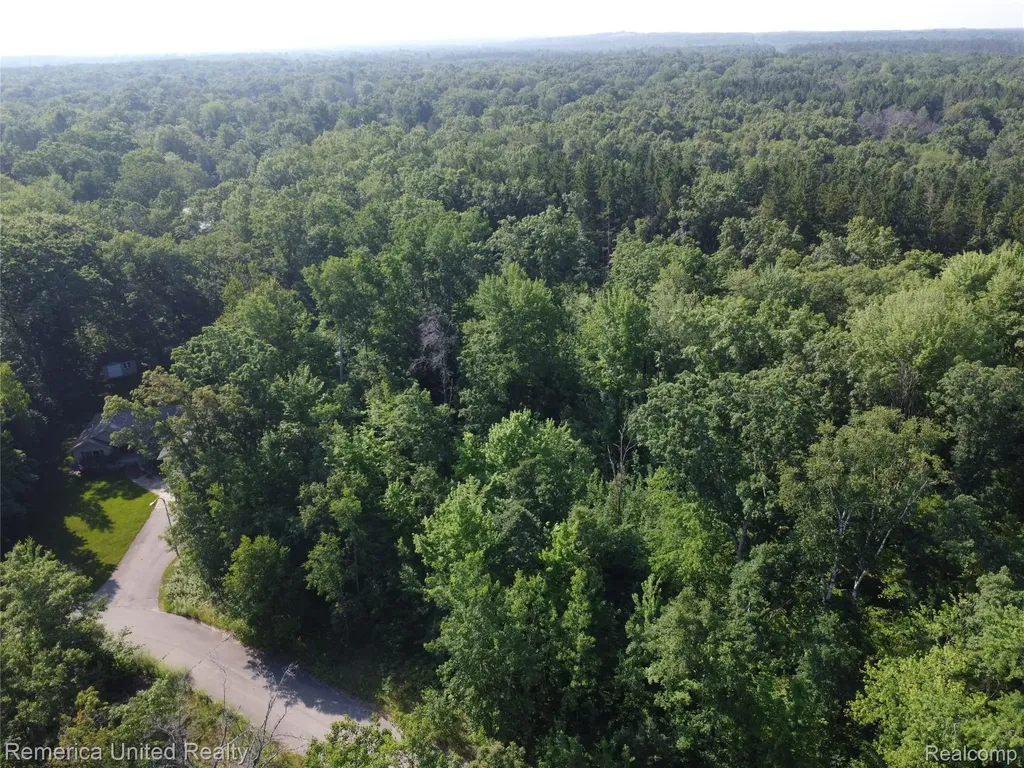 Vl Pondside Drive Surrey Township MI 48622