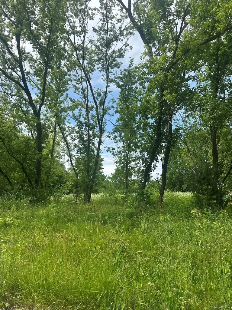 Vl Lakeview Park Drive Fenton Charter Township MI 48430