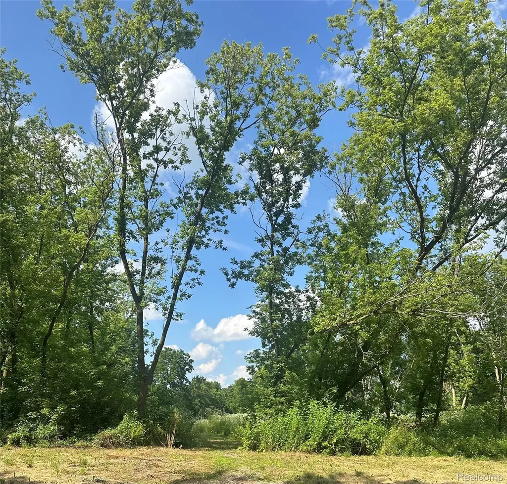 Vl Lakeview Park Drive Fenton Charter Township MI 48430