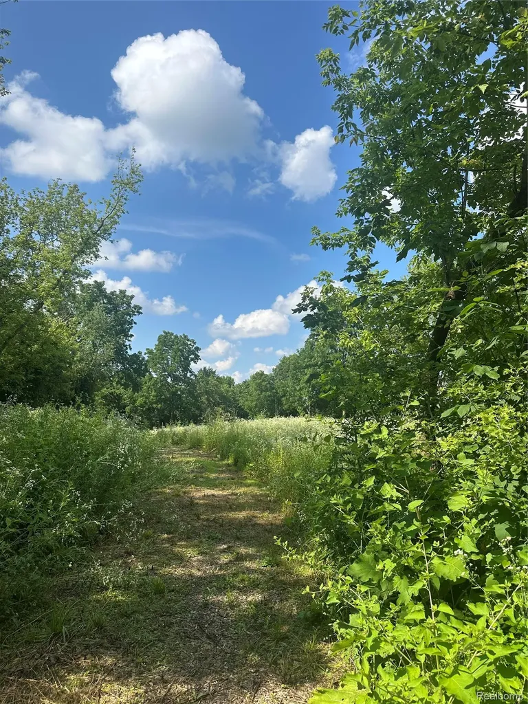 Vl Lakeview Park Drive Fenton Charter Township MI 48430