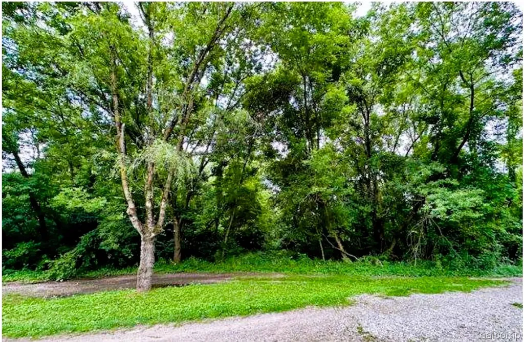 22622 Pine Drive Lyon Charter Township MI 48178