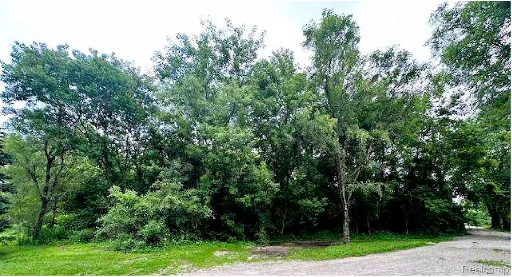 22622 Pine Drive Lyon Charter Township MI 48178
