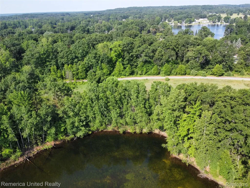 Vl Pondside Dr Lot 10 Surrey Township MI 48622