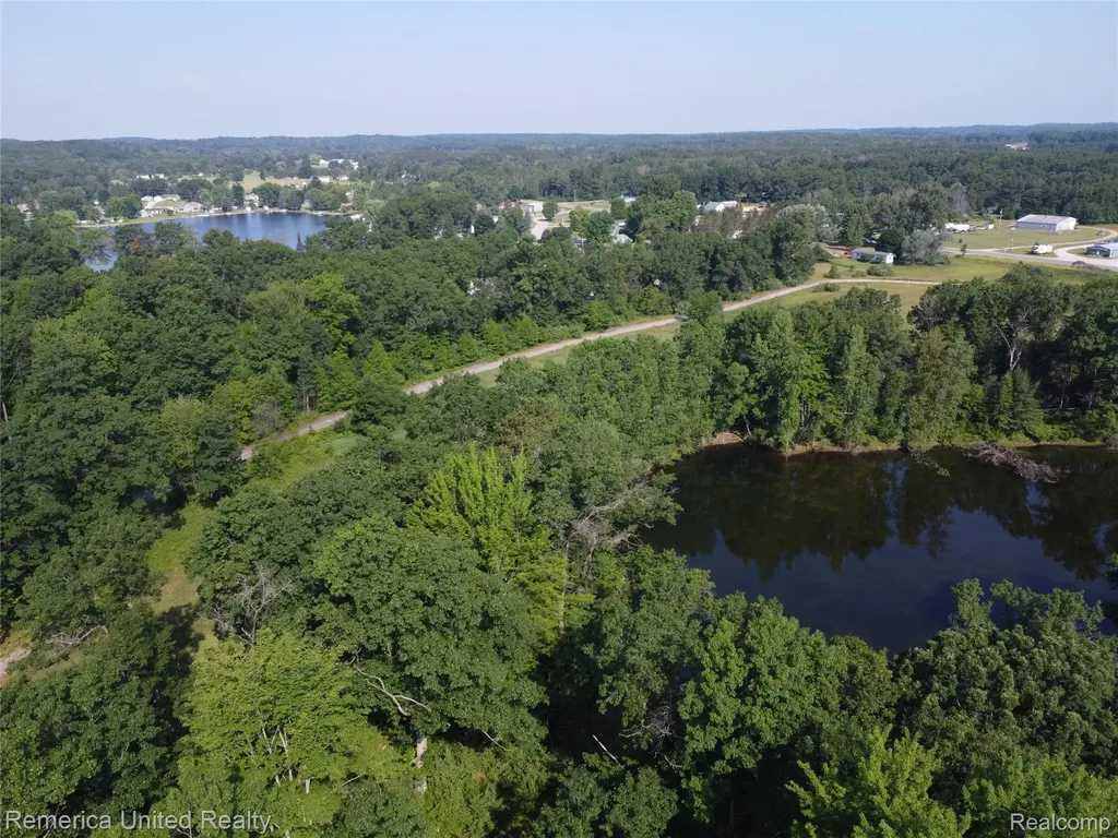 Vl Pondside Drive Lot 20 Surrey Township MI 48622