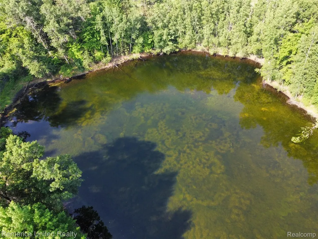 Vl Pondside Drive Lot 20 Surrey Township MI 48622