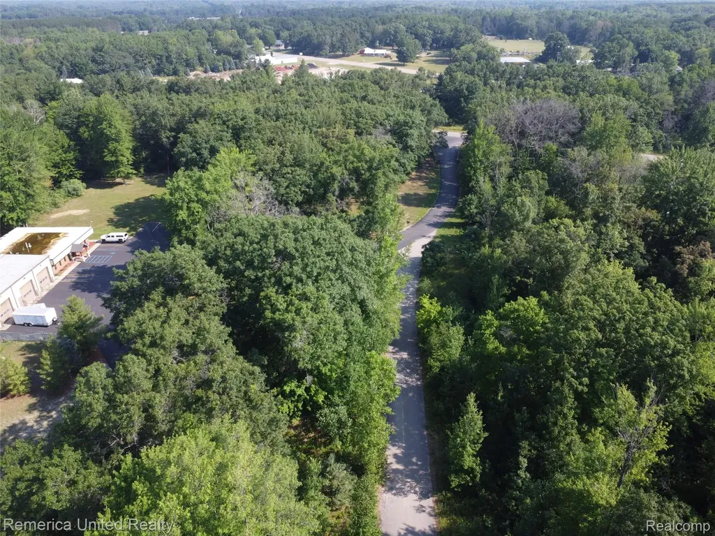Vl Pondside Drive Lot 20 Surrey Township MI 48622