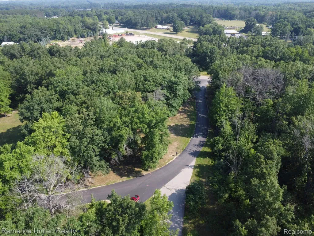 Vl Pondside Drive Lot 20 Surrey Township MI 48622