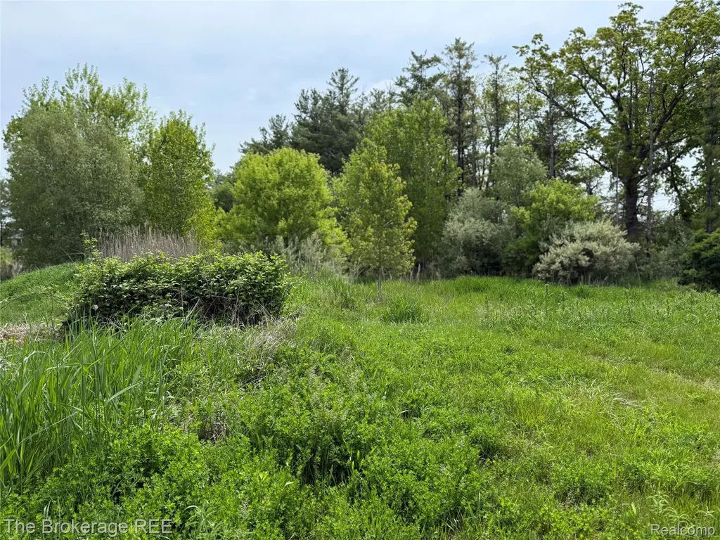 3020 Merwin Road Elba Township MI 48446