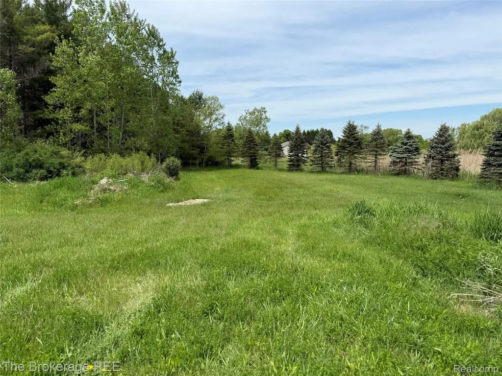 3020 Merwin Road Elba Township MI 48446