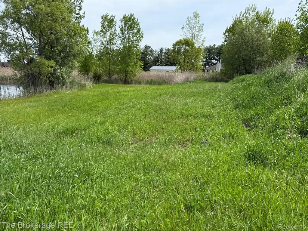 3020 Merwin Road Elba Township MI 48446