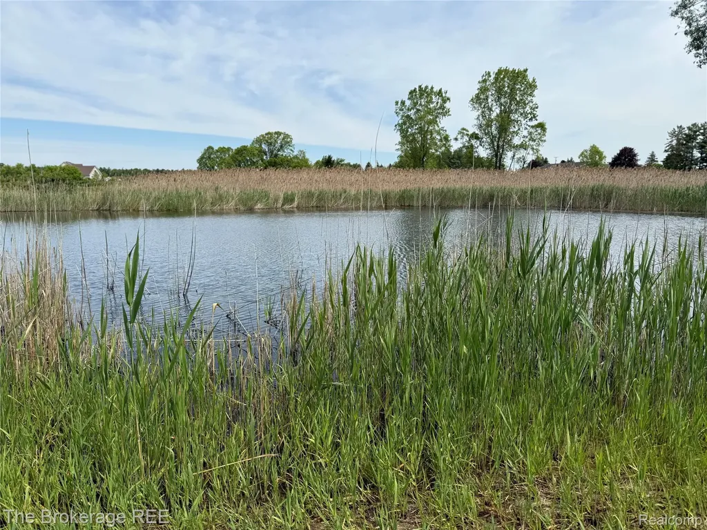 3020 Merwin Road Elba Township MI 48446