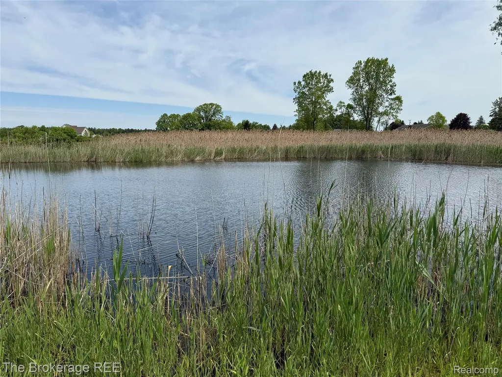 3020 Merwin Road Elba Township MI 48446