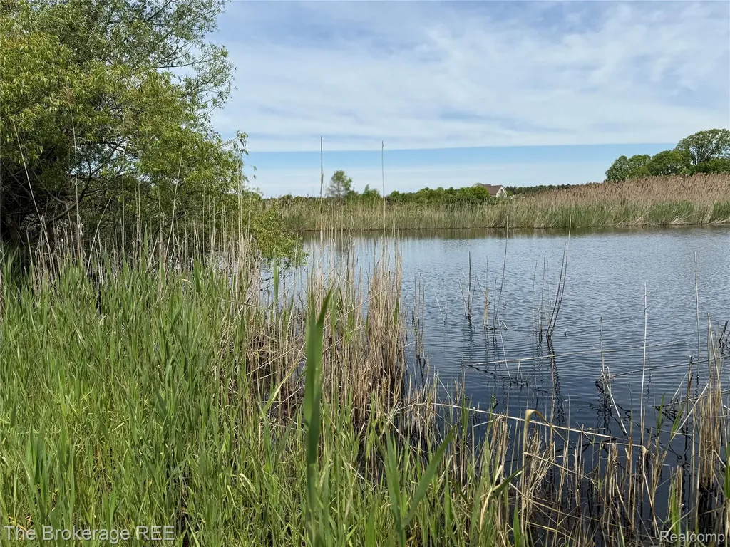 3020 Merwin Road Elba Township MI 48446