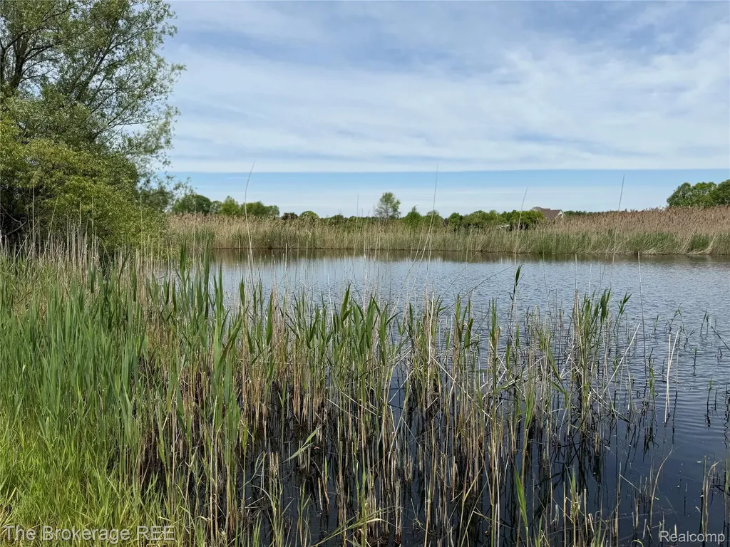 3020 Merwin Road Elba Township MI 48446