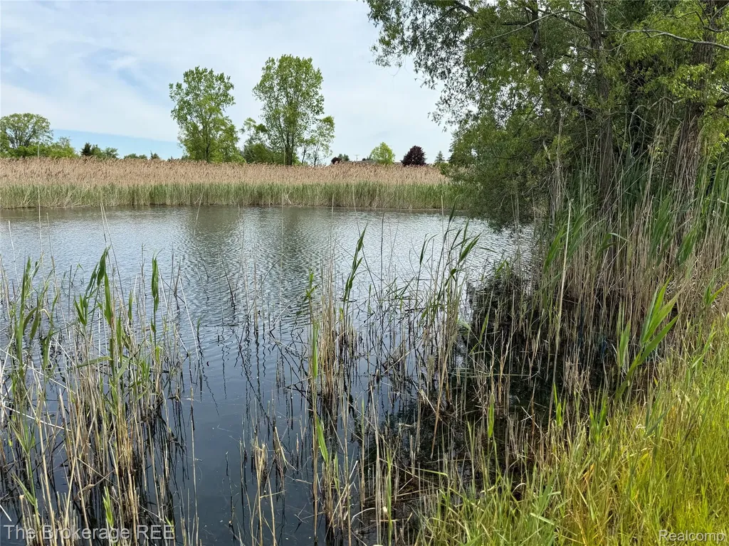 3020 Merwin Road Elba Township MI 48446