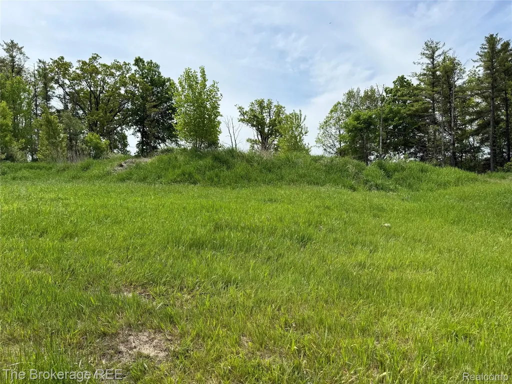 3020 Merwin Road Elba Township MI 48446