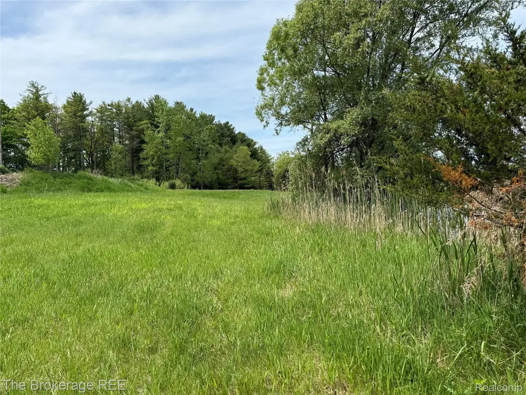 3020 Merwin Road Elba Township MI 48446