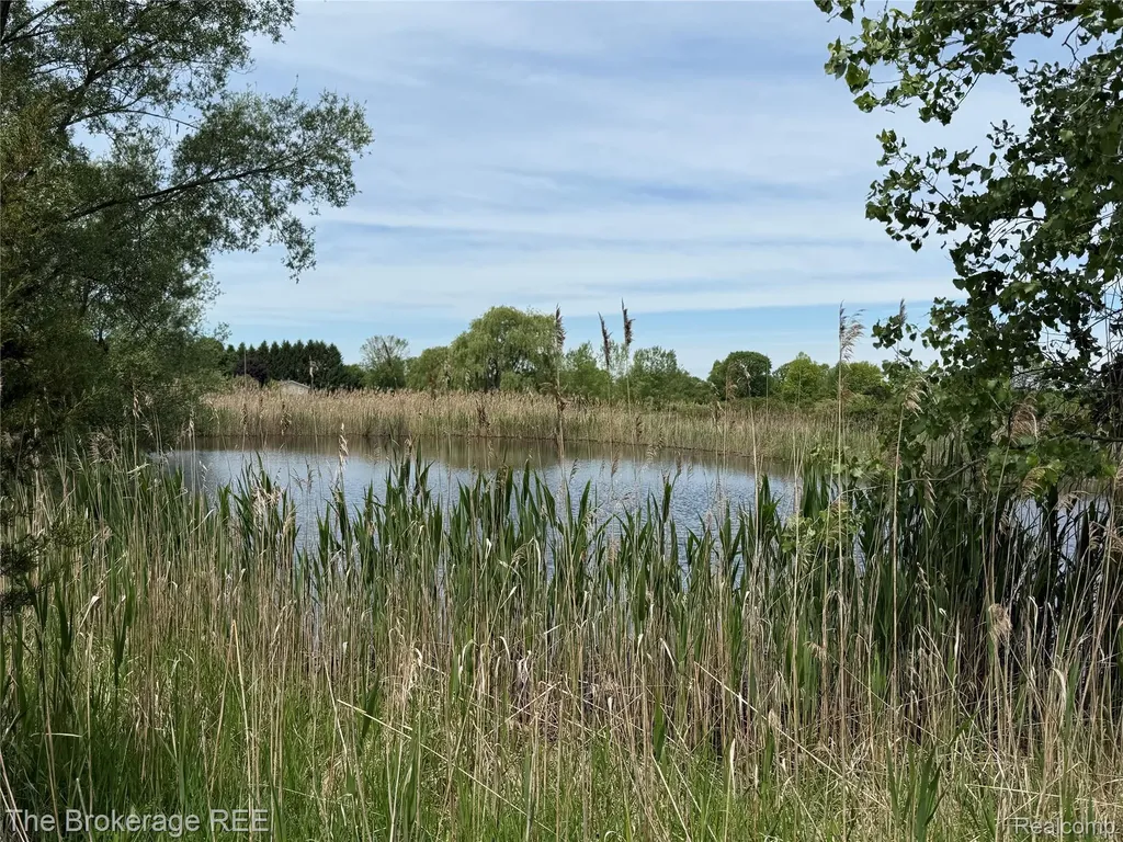 3020 Merwin Road Elba Township MI 48446