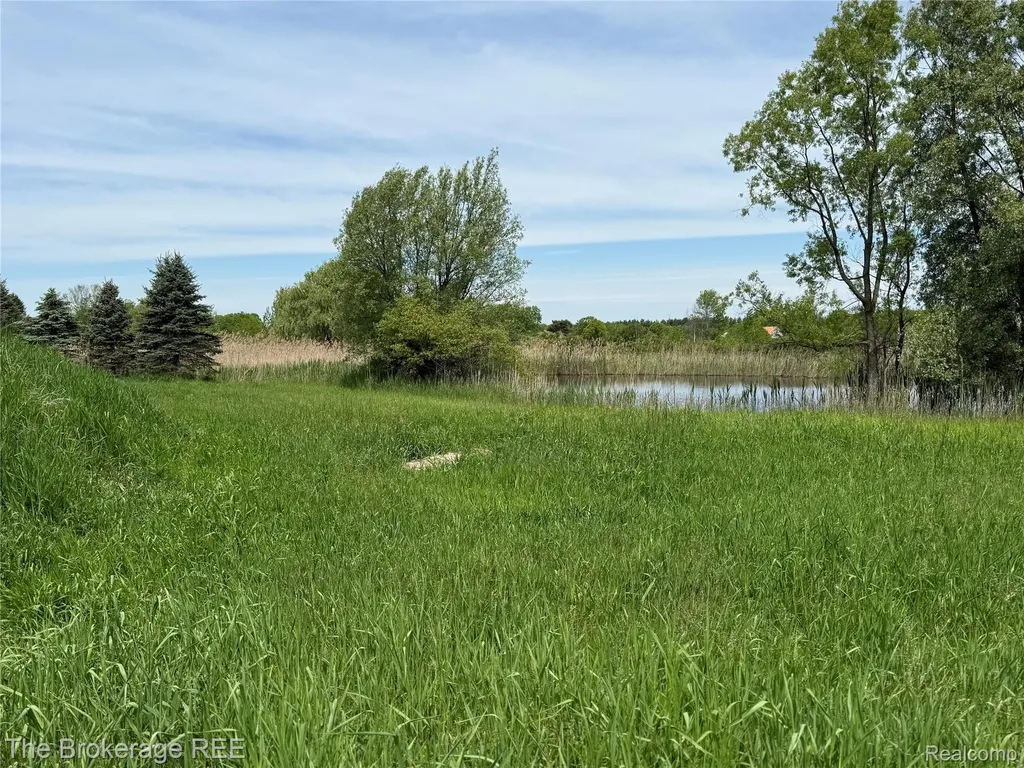 3020 Merwin Road Elba Township MI 48446