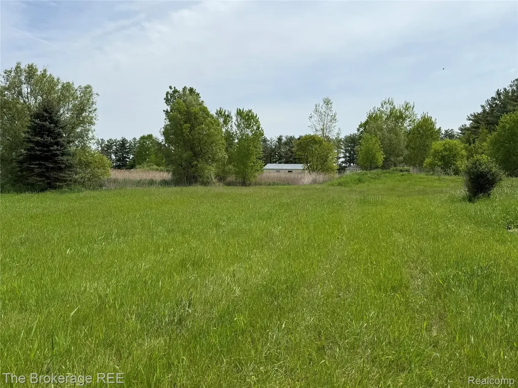 3020 Merwin Road Elba Township MI 48446