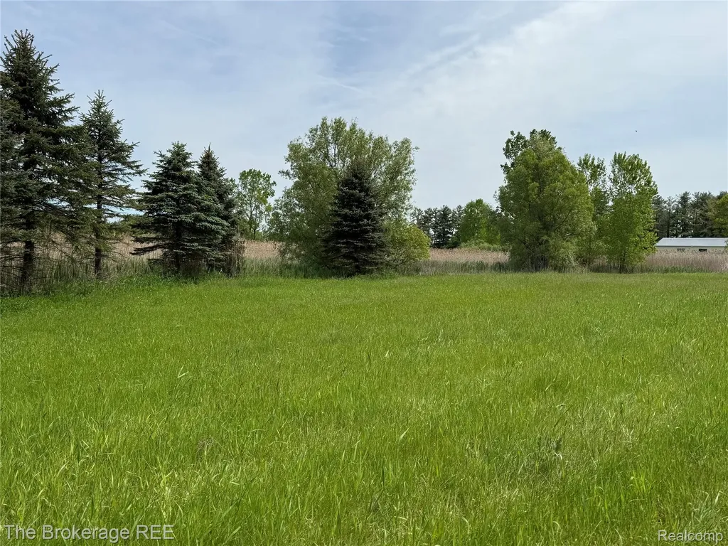 3020 Merwin Road Elba Township MI 48446