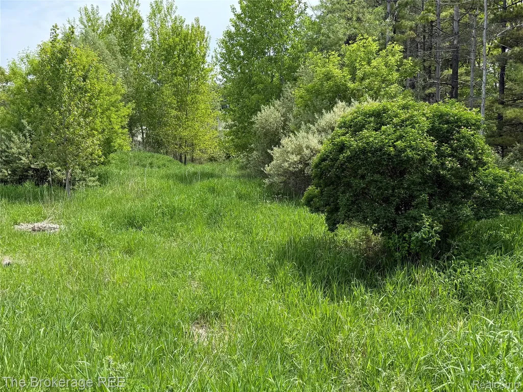 3020 Merwin Road Elba Township MI 48446
