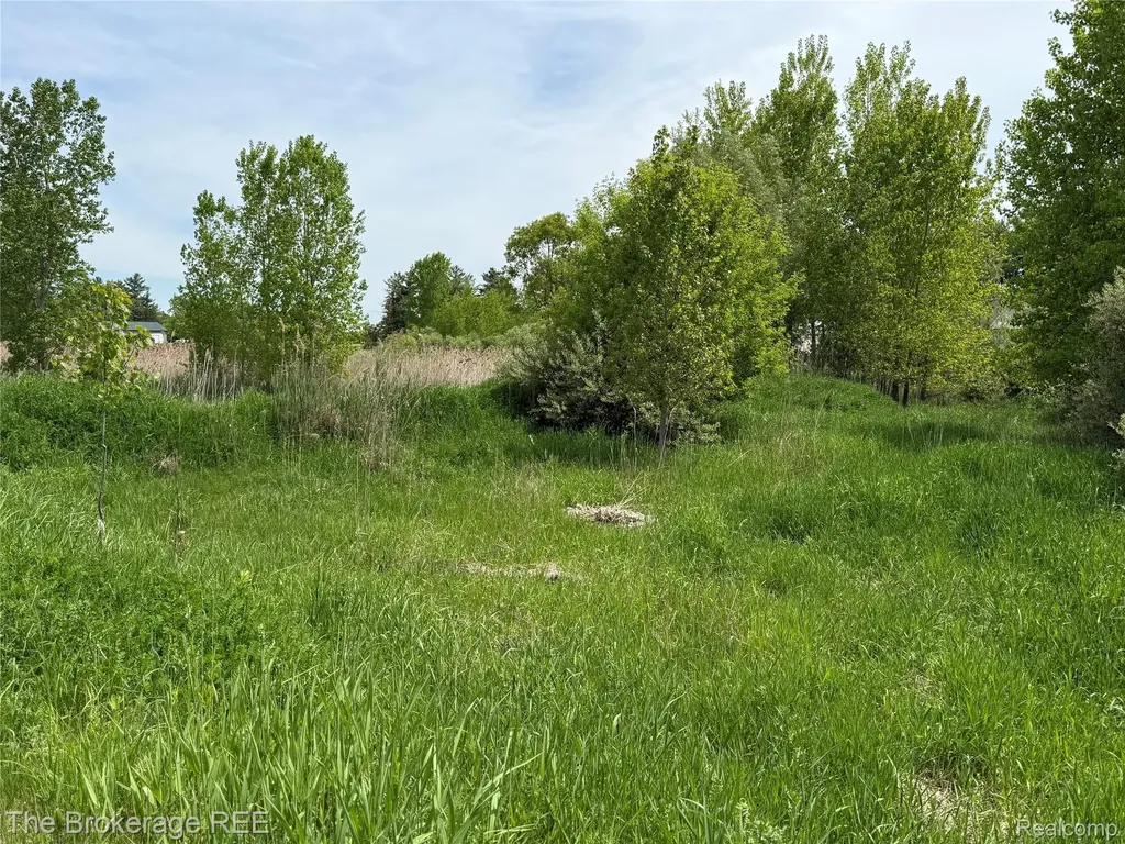 3020 Merwin Road Elba Township MI 48446