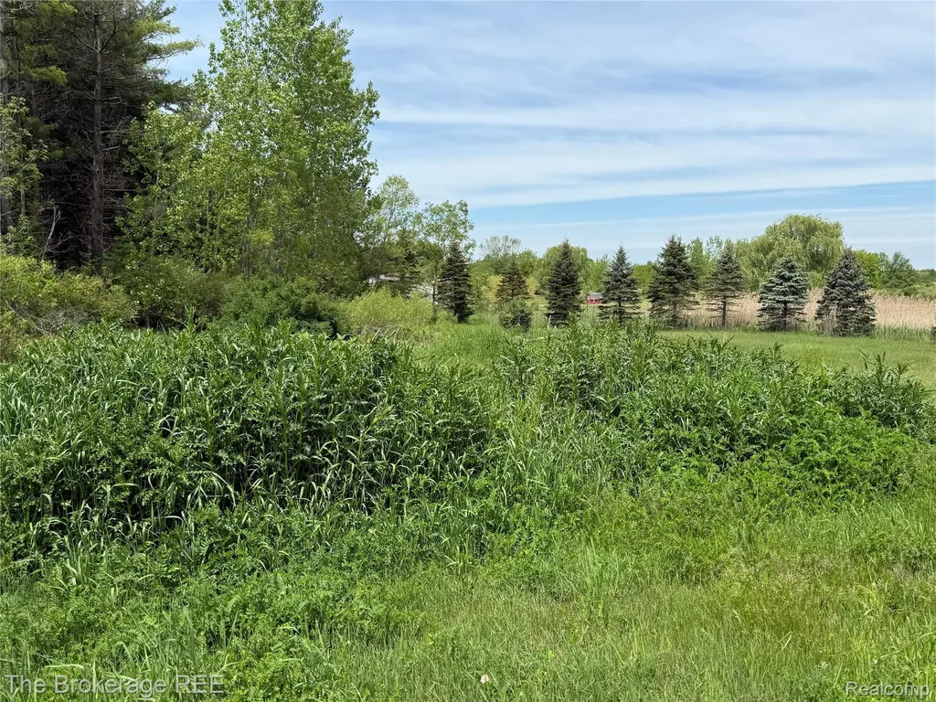 3020 Merwin Road Elba Township MI 48446