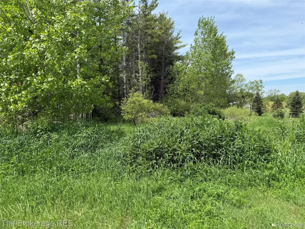 3020 Merwin Road Elba Township MI 48446