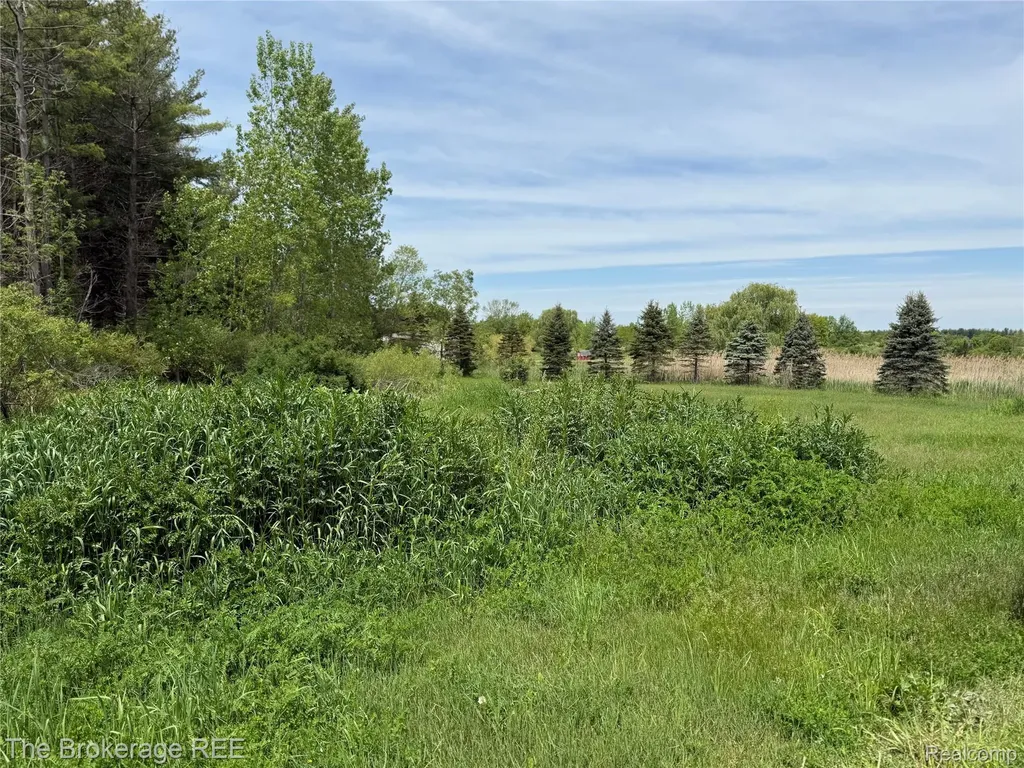 3020 Merwin Road Elba Township MI 48446