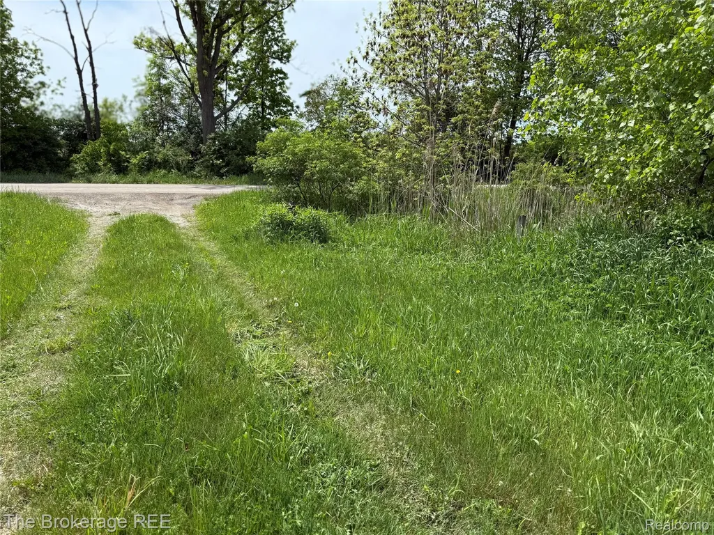 3020 Merwin Road Elba Township MI 48446