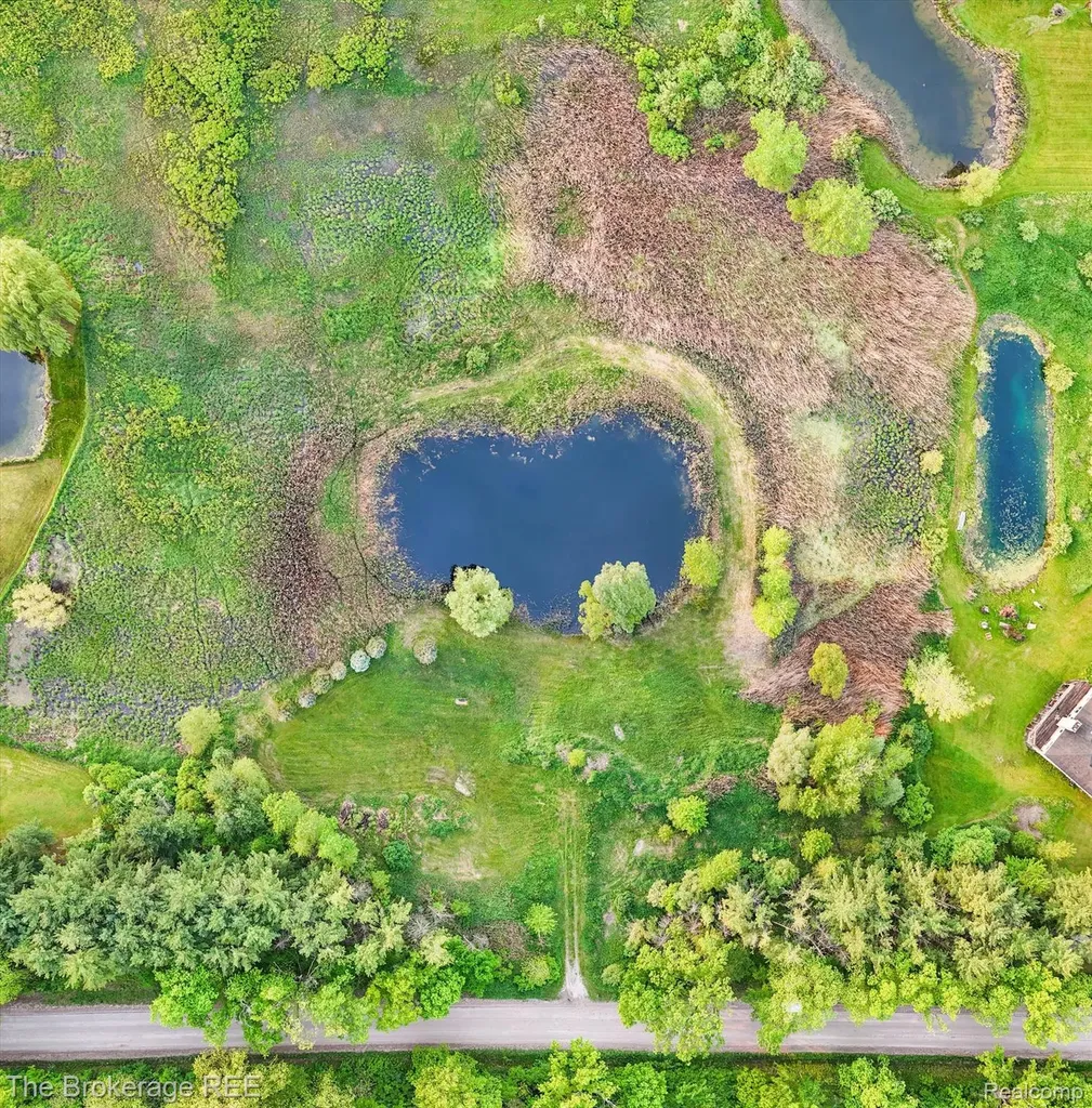 3020 Merwin Road Elba Township MI 48446